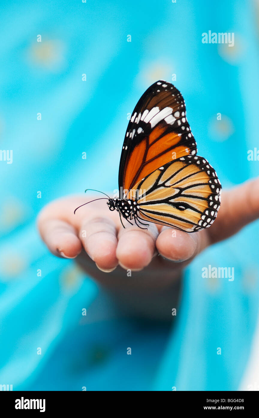 Striped tiger butterfly (Common tiger butterfly)  on the hand of an Indian girl Stock Photo