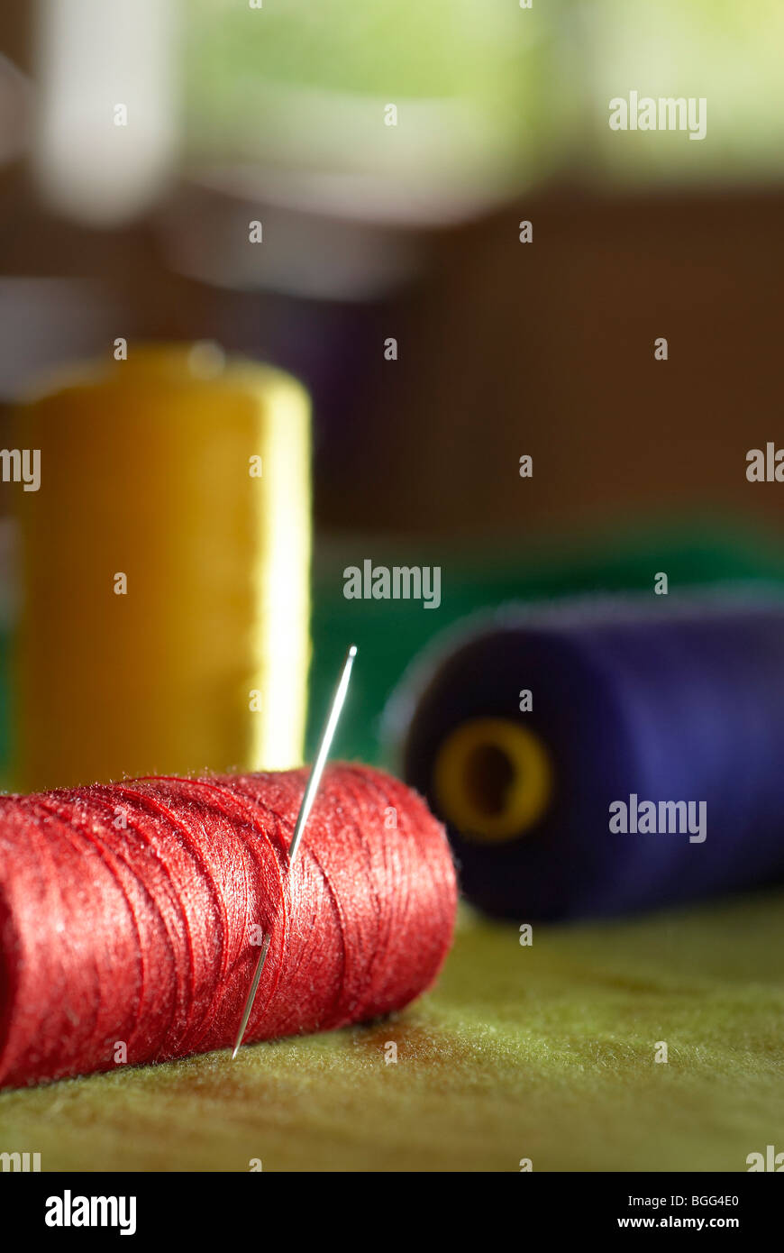 Needle & Cotton Stock Photo Alamy
