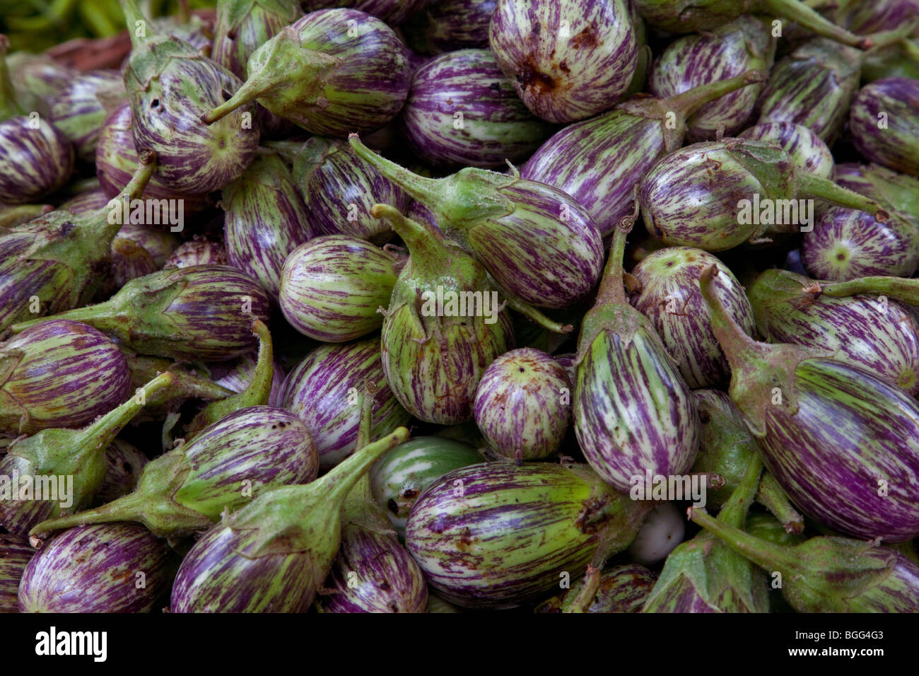 Aubergines Also Known As Eggplants Begun Or Brinjal Stock Photo Alamy