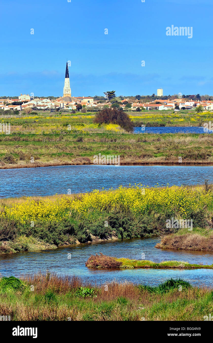 Ars en Re, Ile de Re, France. Stock Photo