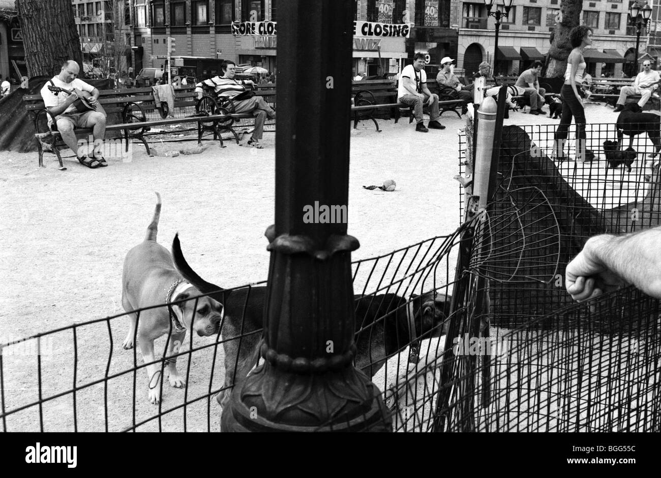 A dog park on Union Square Stock Photo Alamy