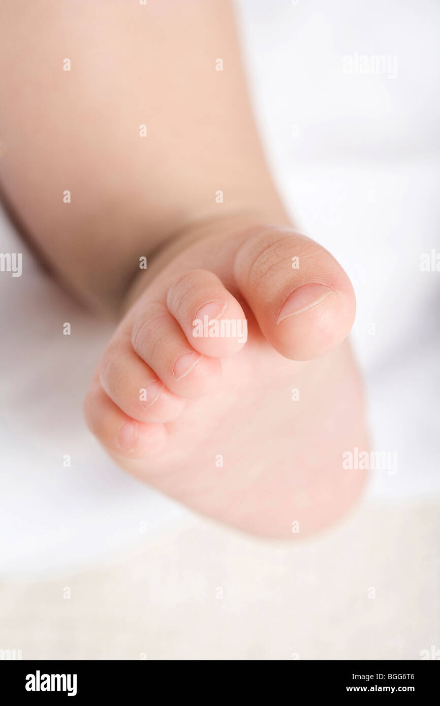 Infant's feet Stock Photo - Alamy