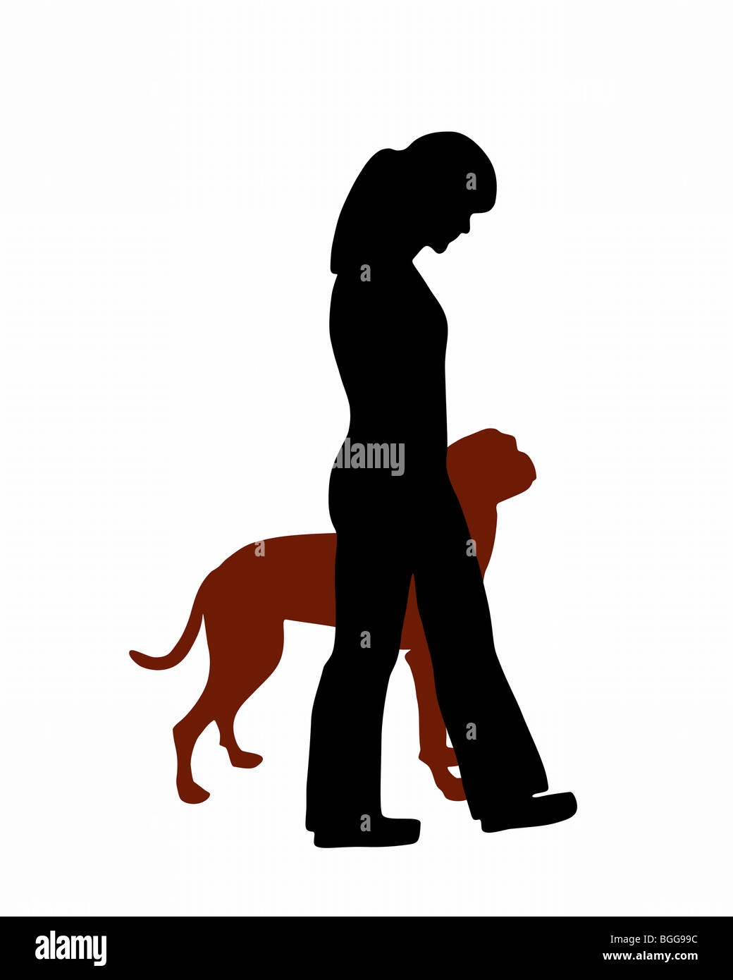 Dog training heel command online
