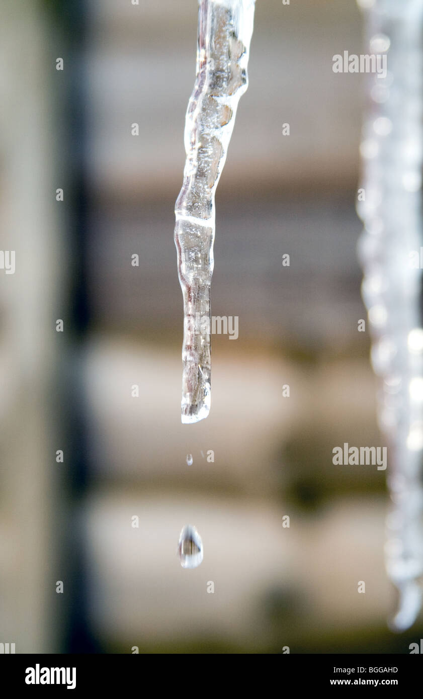 An icicle starting to melt in sunlight with water droplet Stock Photo