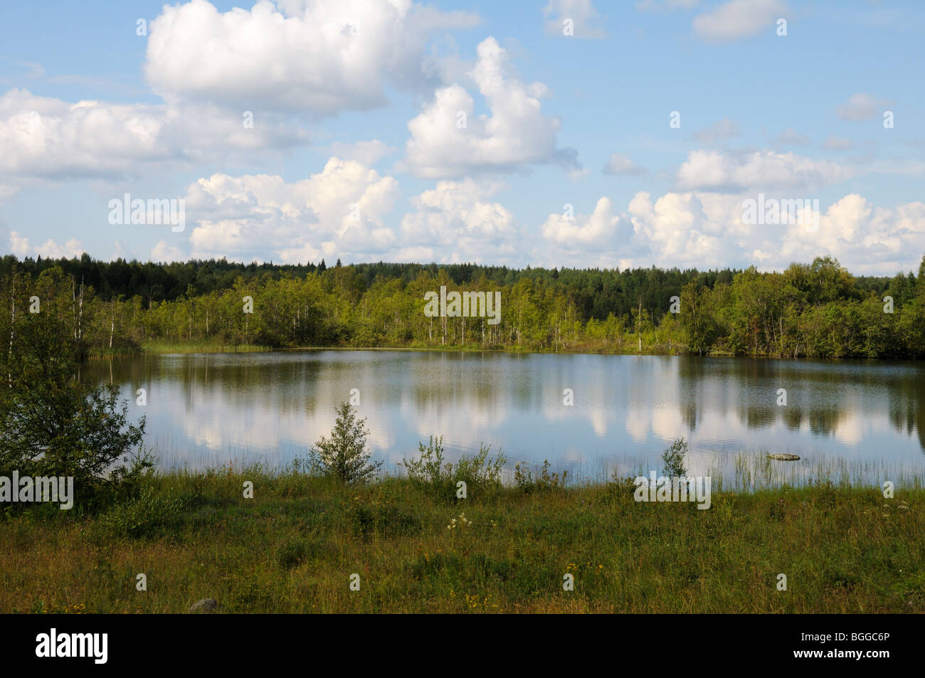 Beautiful lake in a forest under blu sky with cumulus clouds Stock Photo