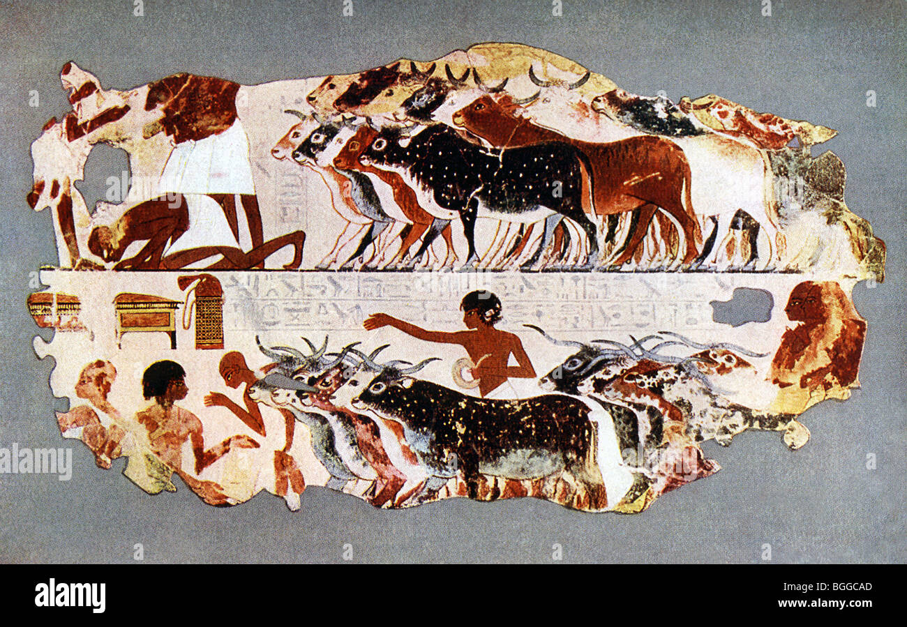 This wall painting from the late 18th Dynasty tomb-chapel of Nebamun shows him inspecting flocks of geese and cattle. Stock Photo