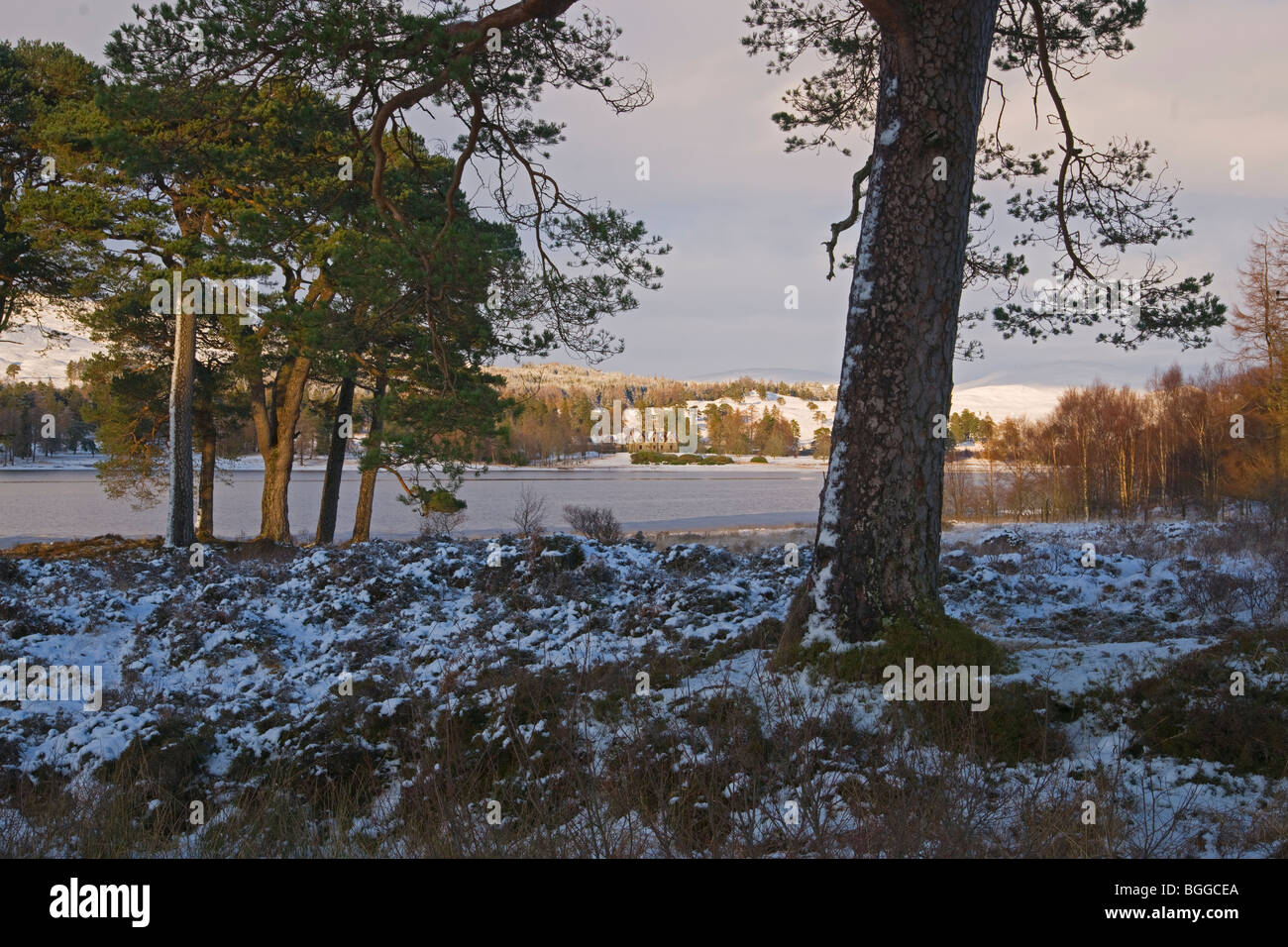 Loch Tulla, Black Mount, Bridge of Orchy, snow, Argyll and Bute, Scotland, December 2009 Stock Photo