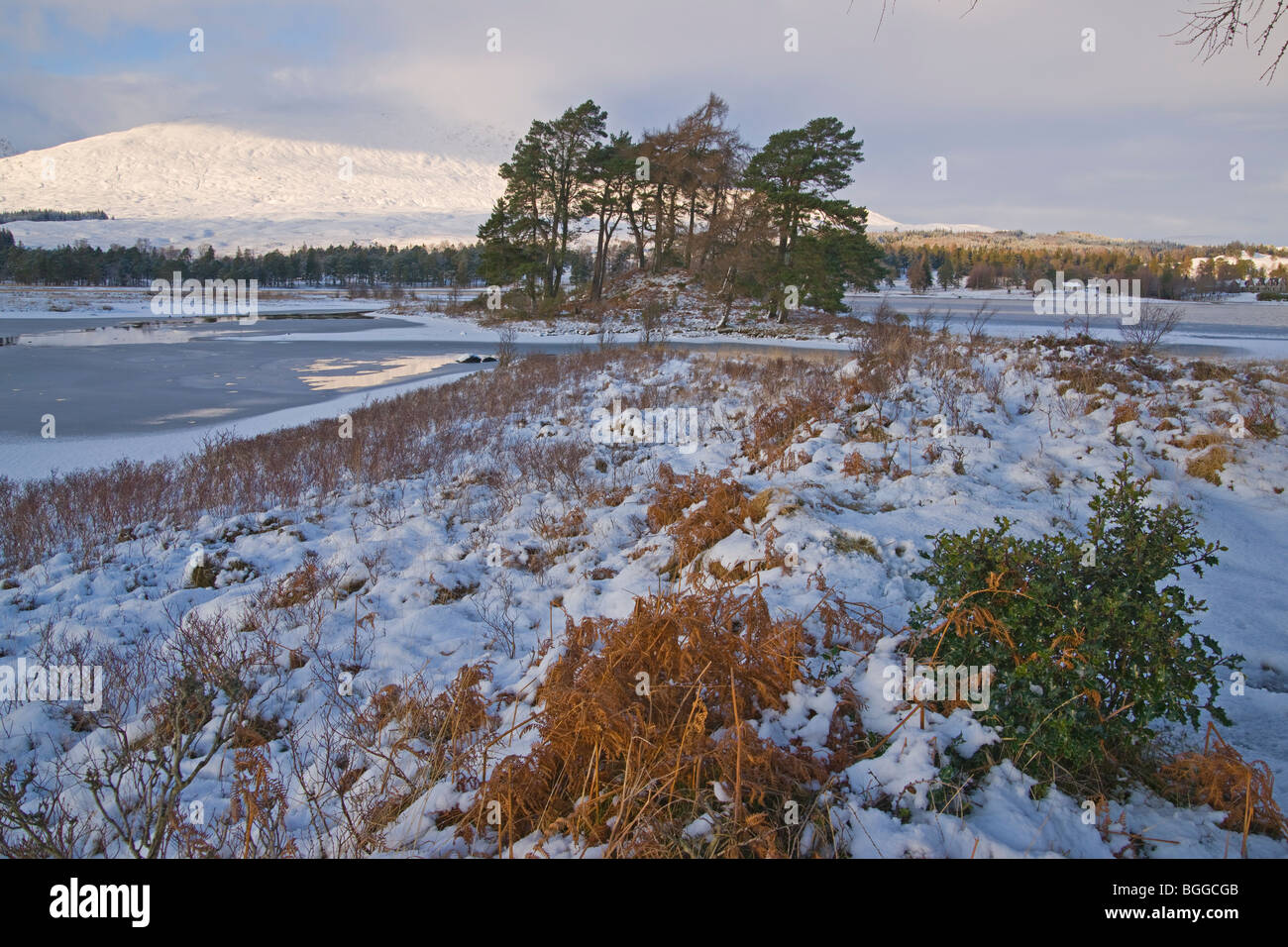 Loch Tulla, Black Mount, Bridge of Orchy, snow, Argyll and Bute, Scotland, December 2009 Stock Photo