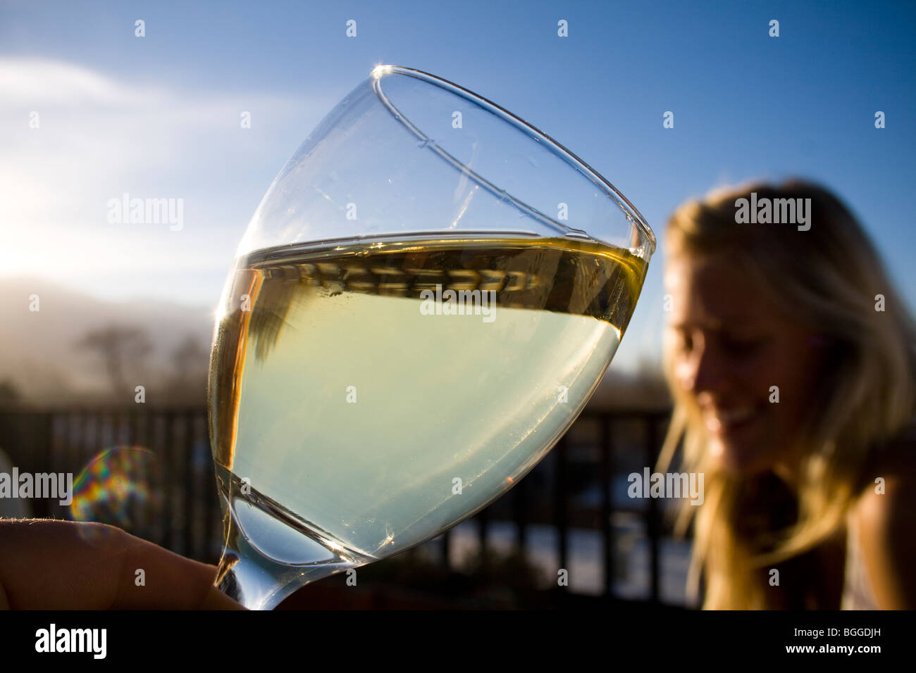 Wine tasting with friends in the beautiful vineyard town of Cafayate, north west Argentina Stock Photo