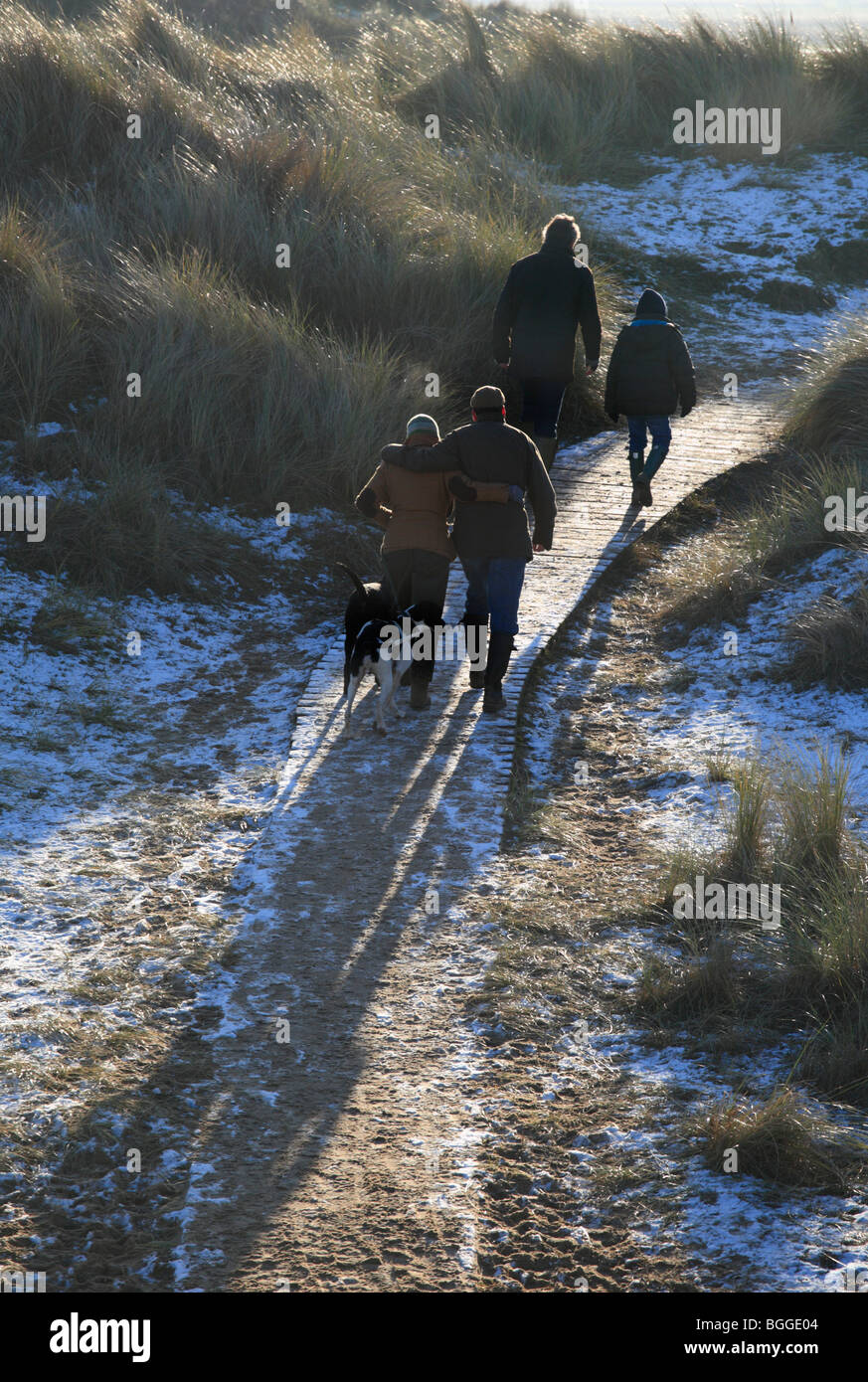 Four people and two dogs walking on a wooden boardwalk through snowy, frosty dunes on New Year's Day 2010 at Burnham Overy. Stock Photo