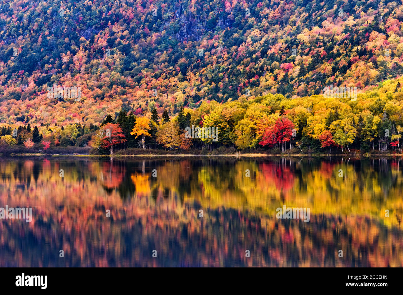 Fall colours at Warren Lake, Nova Scotia, Canada Stock Photo Alamy
