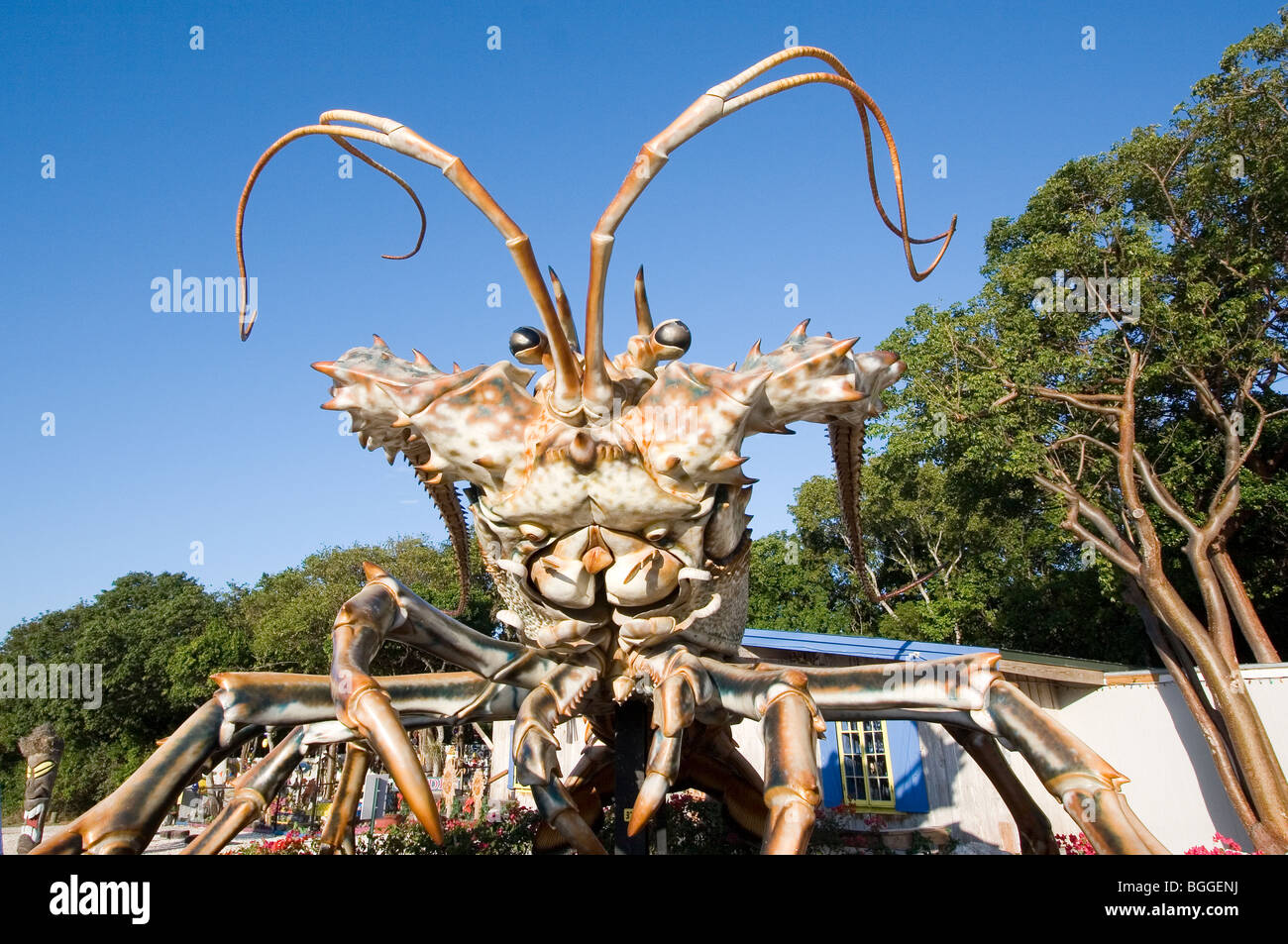 Giant lobster statue, Florida Keys Stock Photo Alamy