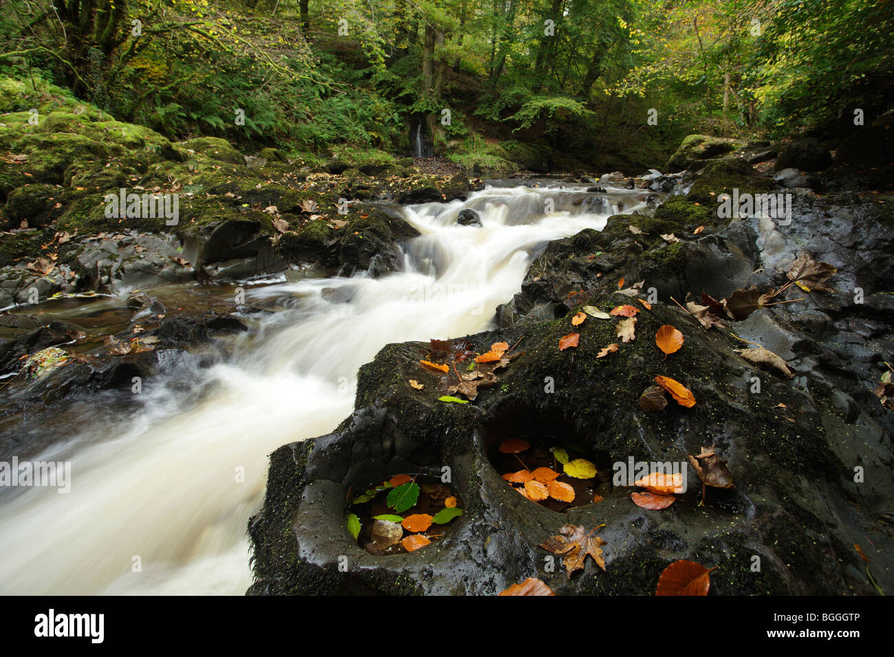 River Calder in Autumn, Lochwinnoch, Renfrewshire, Scotland, UK Stock Photo