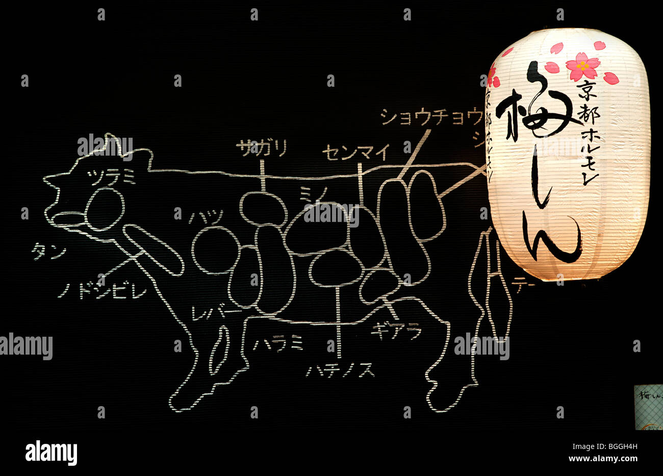 Annotated diagram showing he various cuts of beef from a cow Stock Photo