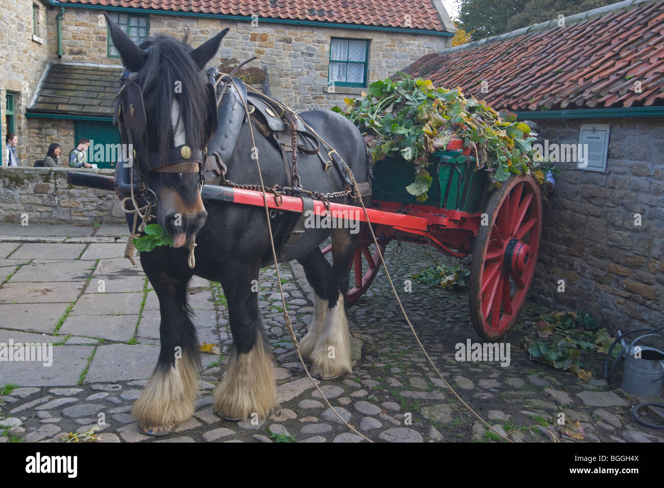 Beamish open air museum, The Home Farm, 1913, Durham, England, October, 2009 Stock Photo
