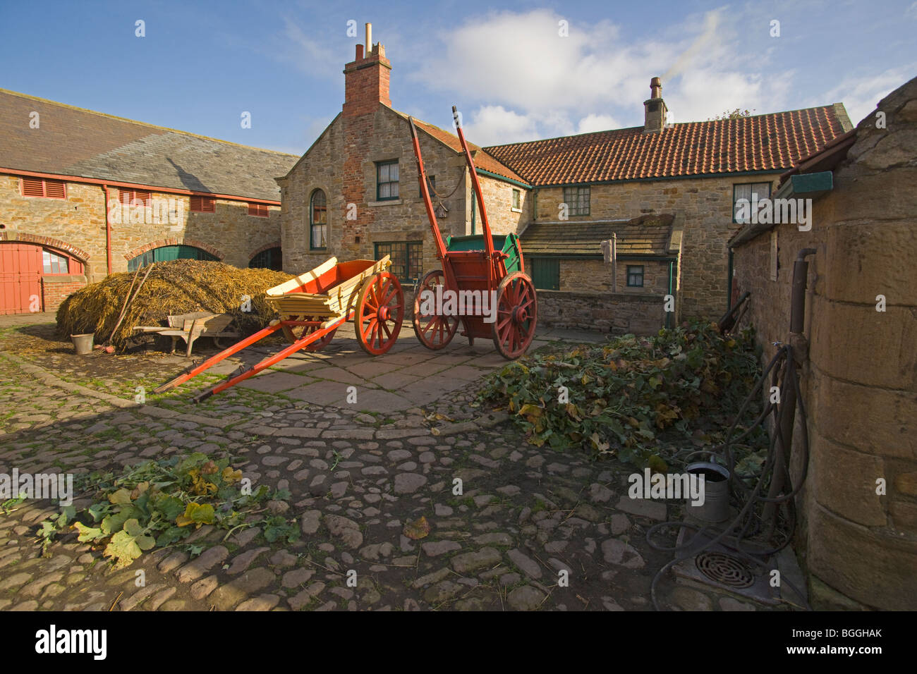 Beamish open air museum, The Home Farm, 1913, Durham, England, October, 2009 Stock Photo