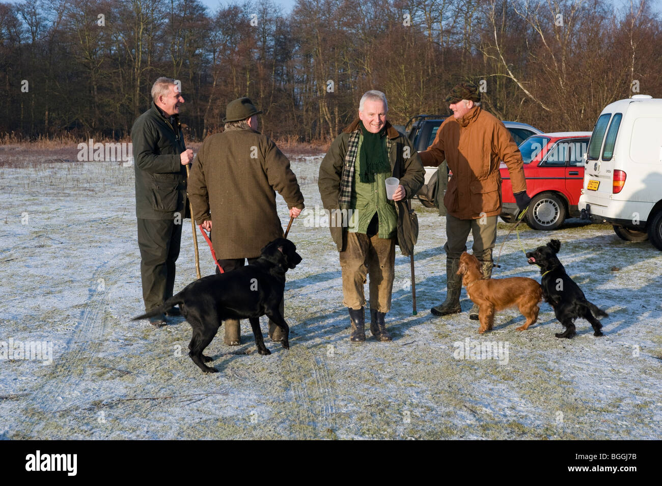 Outdoor activity gundogs hires stock photography and images Alamy