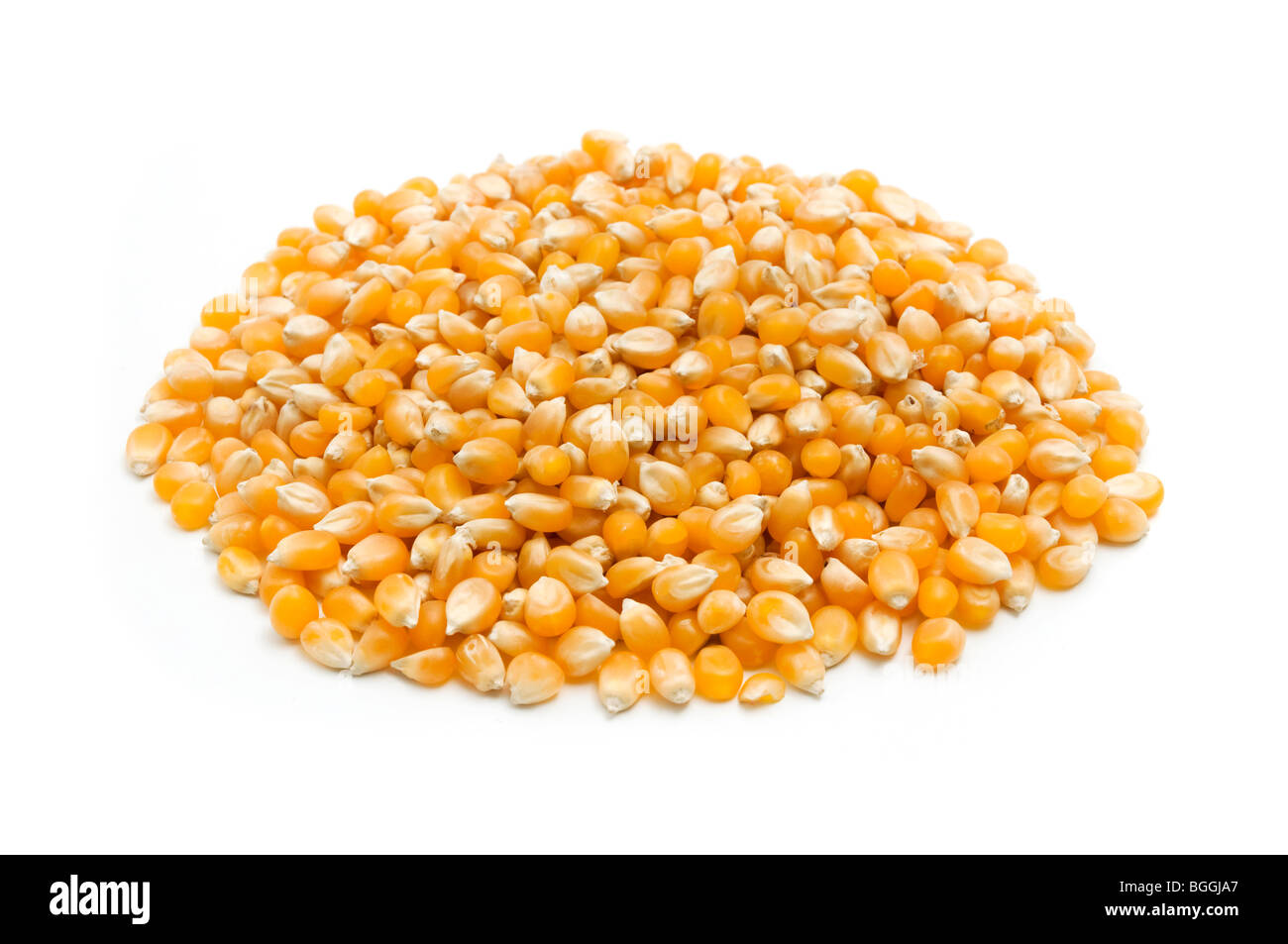 Maize kernels on a white background Stock Photo