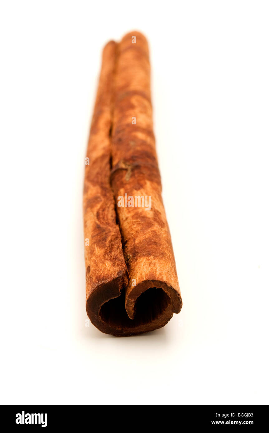 Indonesian Cinnamon quill (Cinnamomum burmannii) on a white background Stock Photo