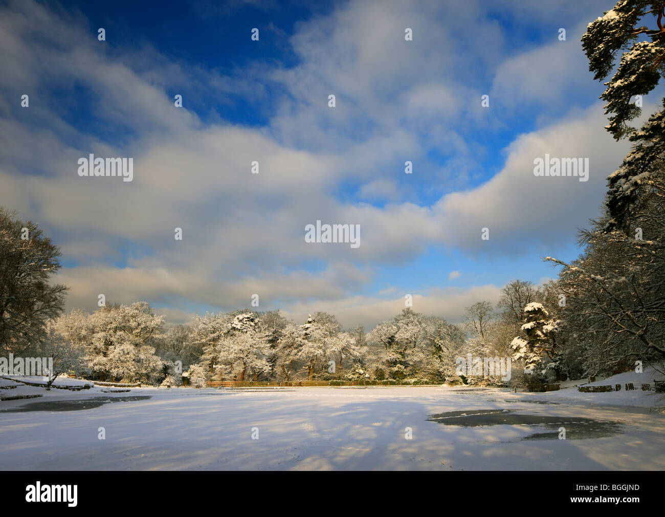 Keston Pond winter scene. Stock Photo