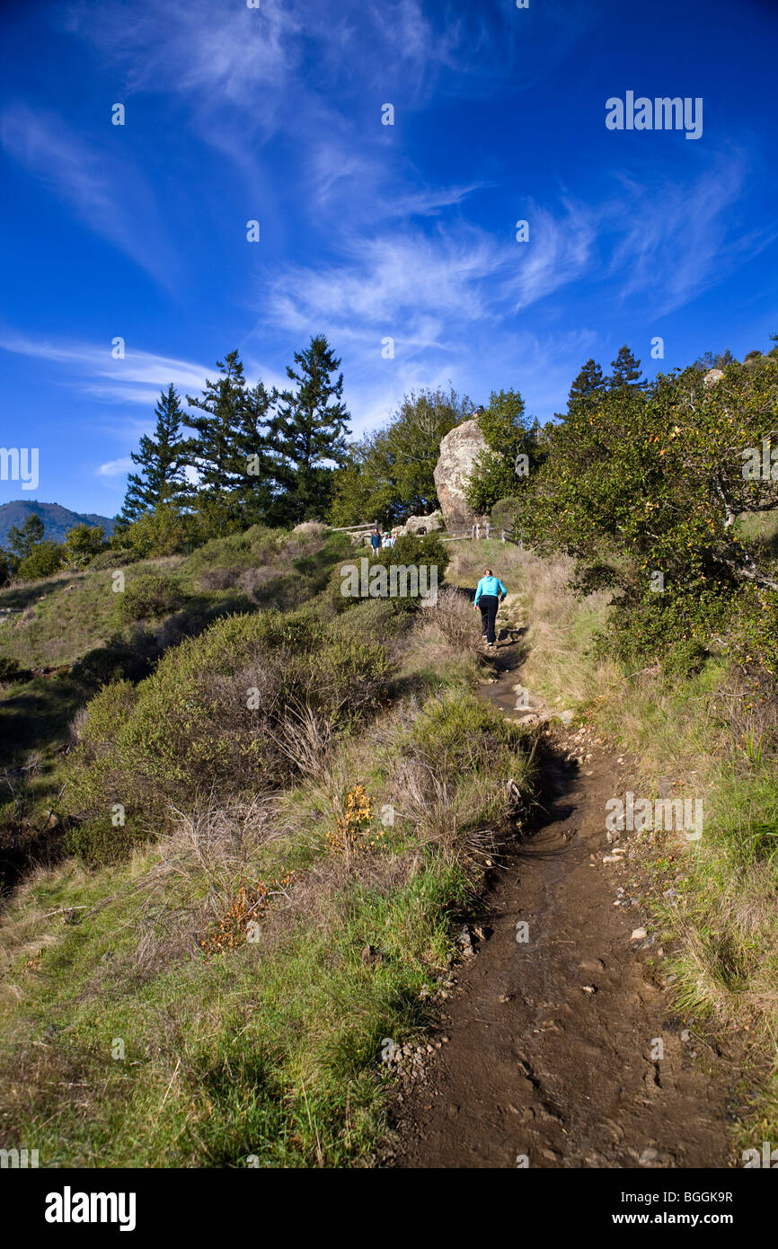 A woman hikes on a trail near Muir Woods National Monument, Ocean View Trail, Marin County, California, United States of America Stock Photo