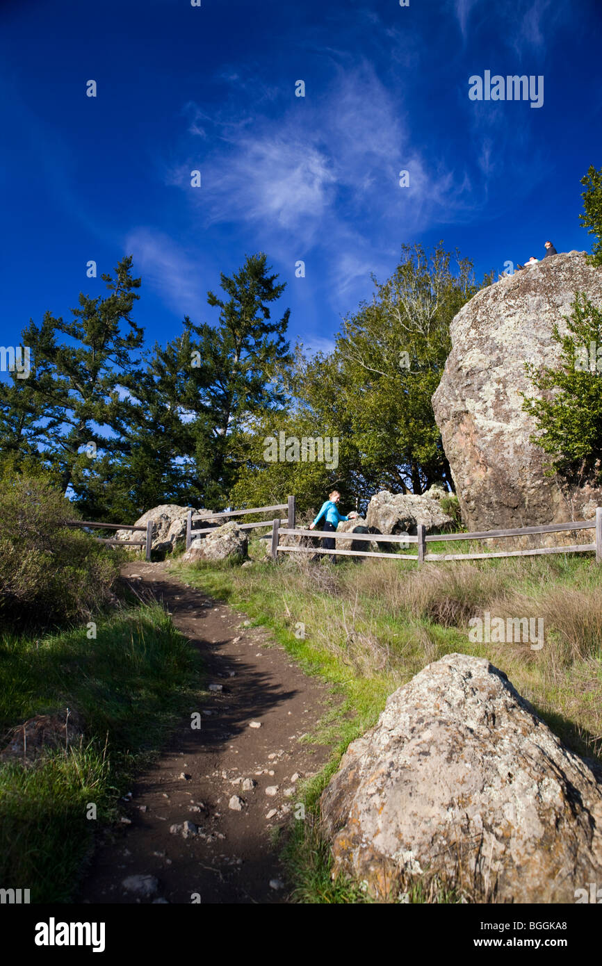 A woman hikes on a trail near Muir Woods National Monument, Ocean View Trail, Marin County, California, United States of America Stock Photo