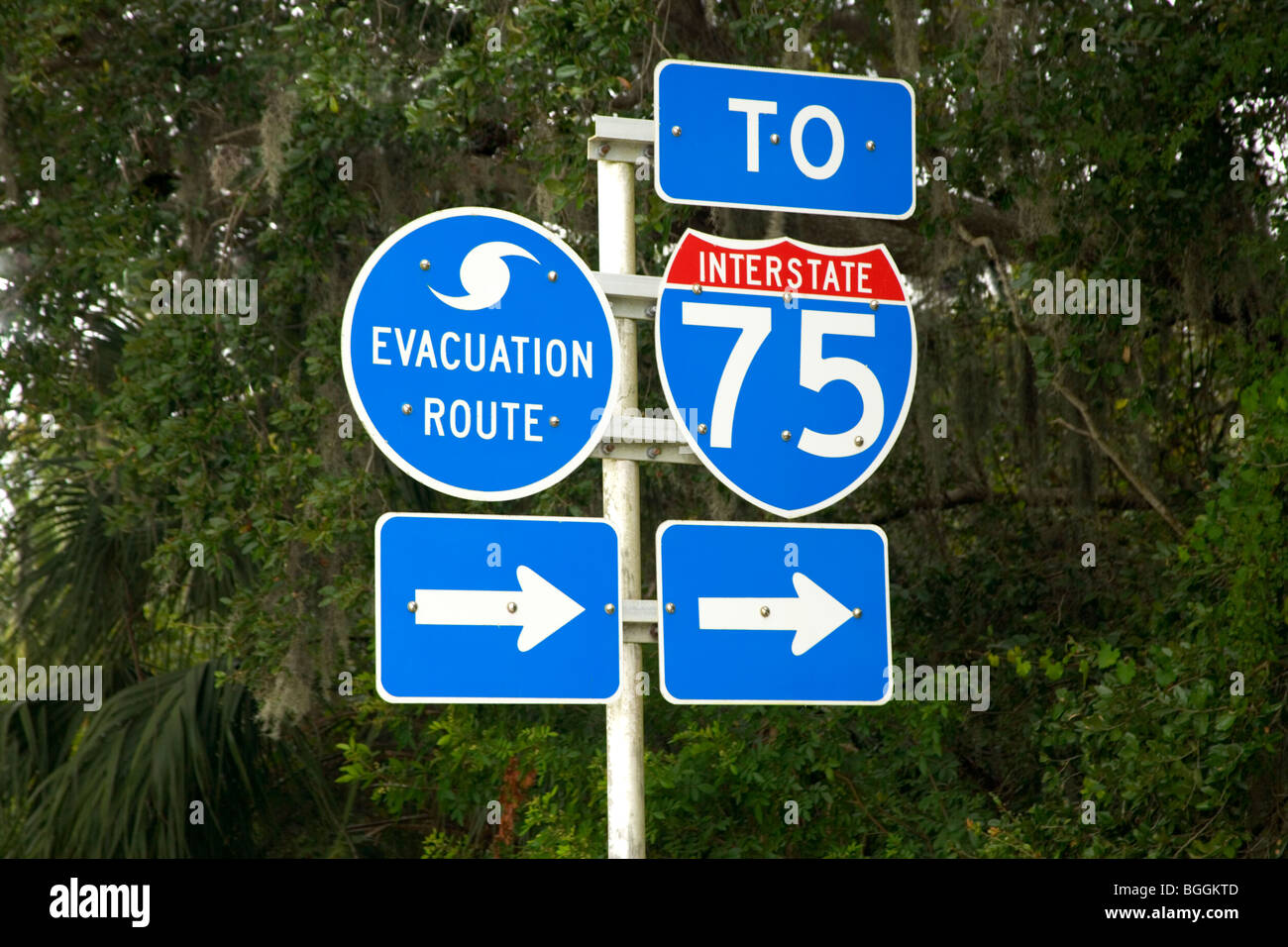 Highway sign,  'Evacuation route' , Florida Stock Photo