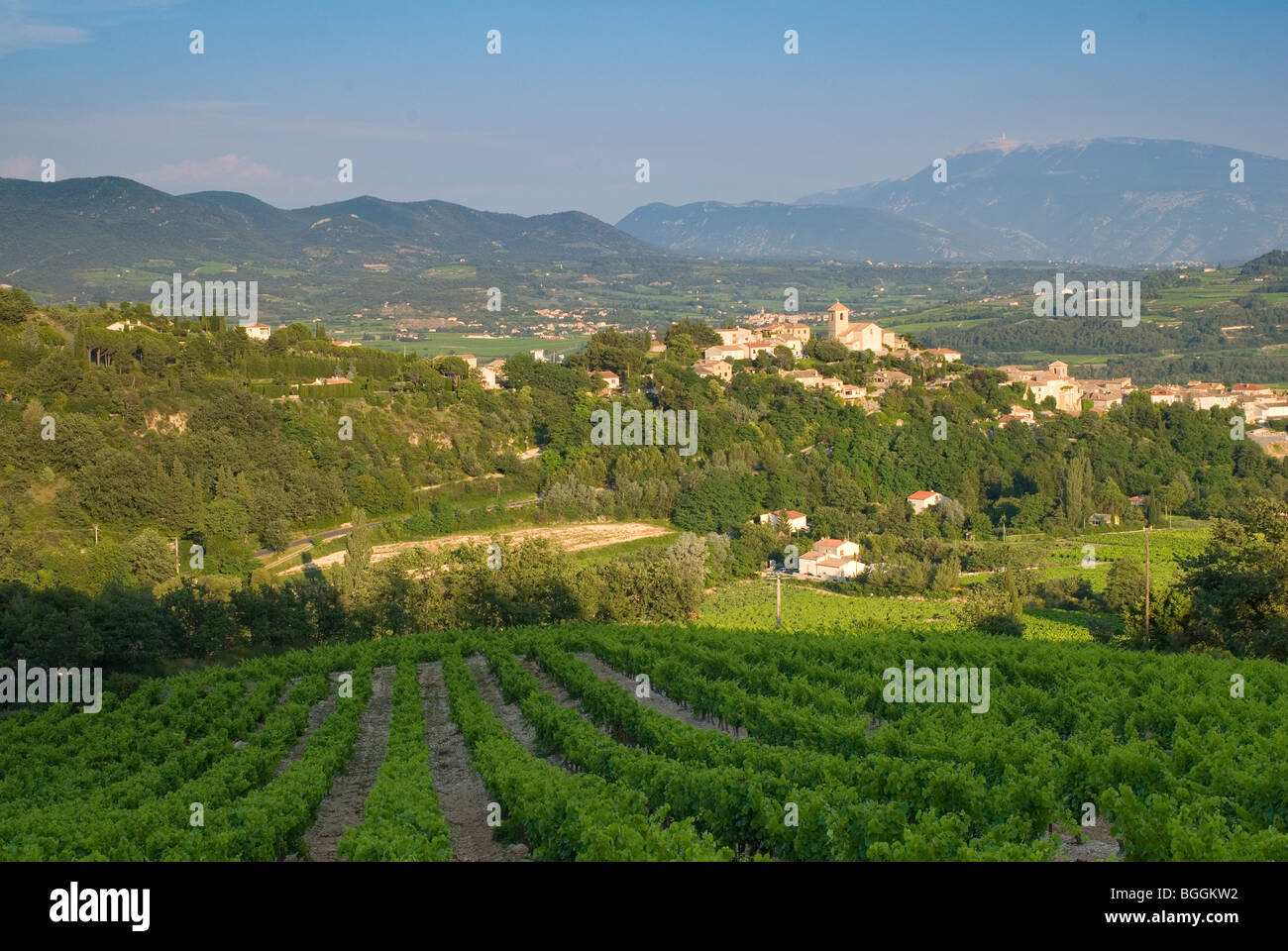 Les Confluences Vinsobres - Rhonéa main image 1