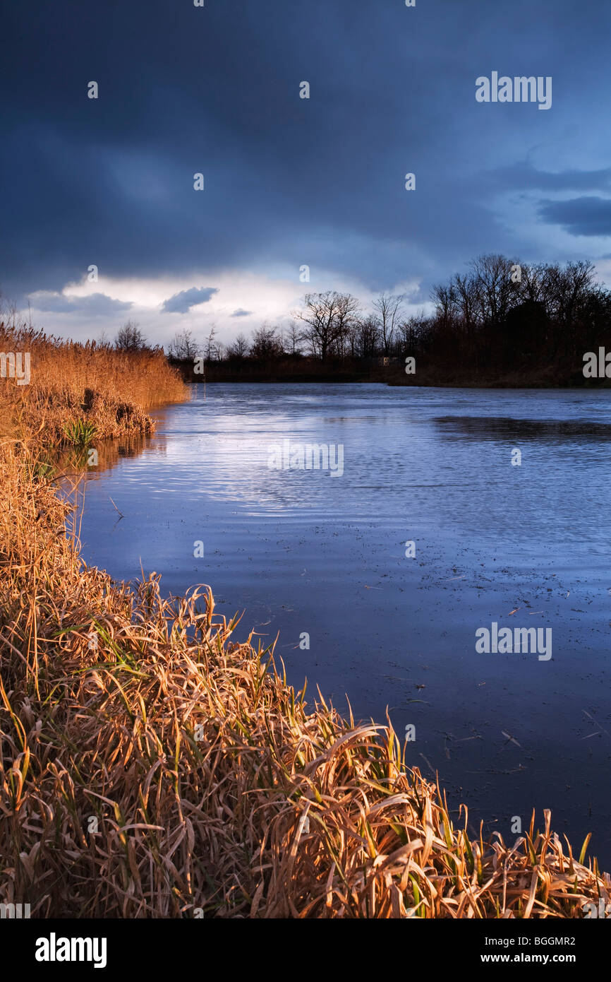 A pond with reeds in the foreground on a cold winter afternoon Stock Photo