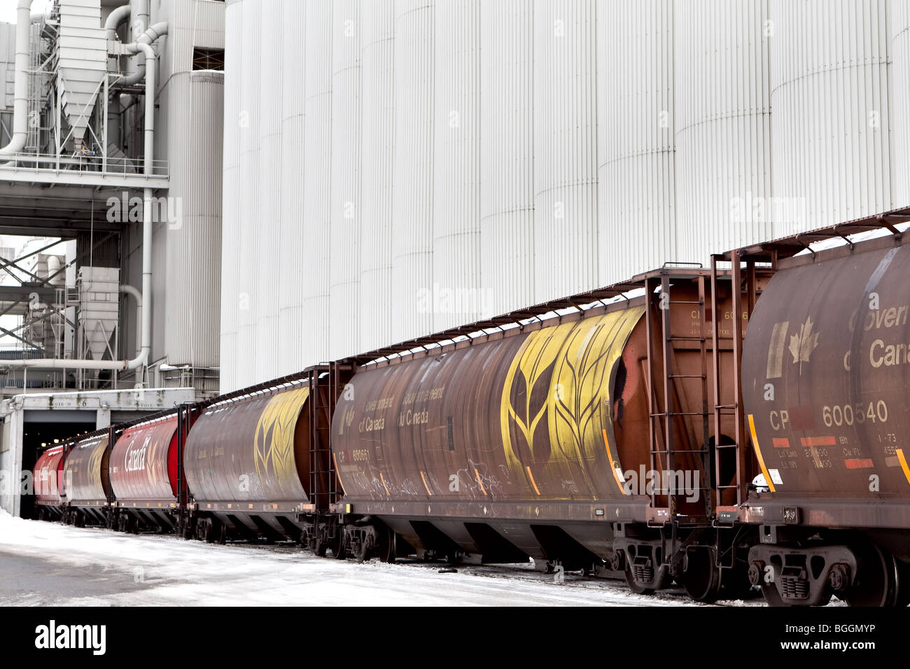 Canadian Pacific (CP) rail cars are pictured in front of the Bunge grain silos in quebec city Stock Photo