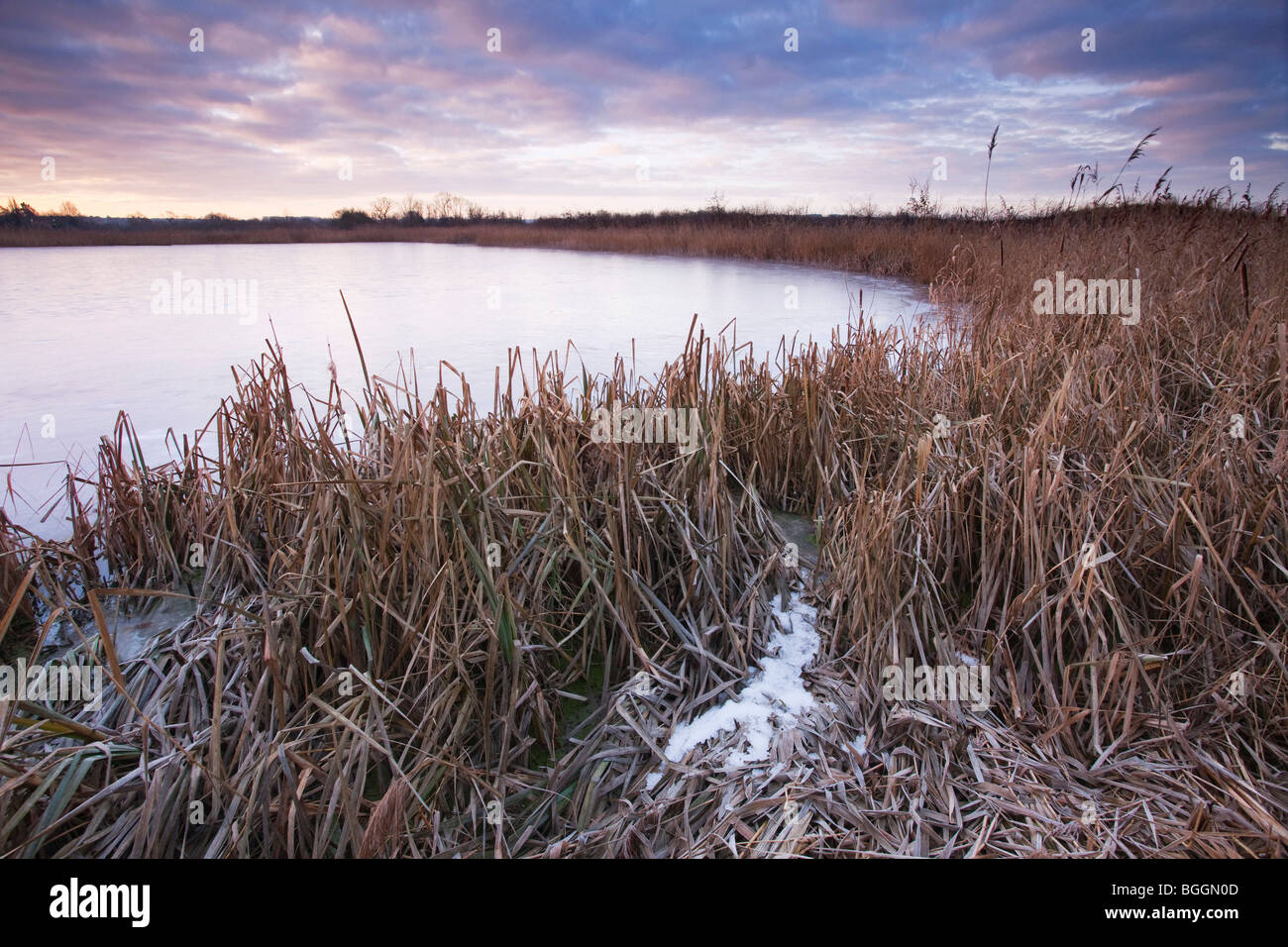 Reeds in foreground winter hi-res stock photography and images - Alamy