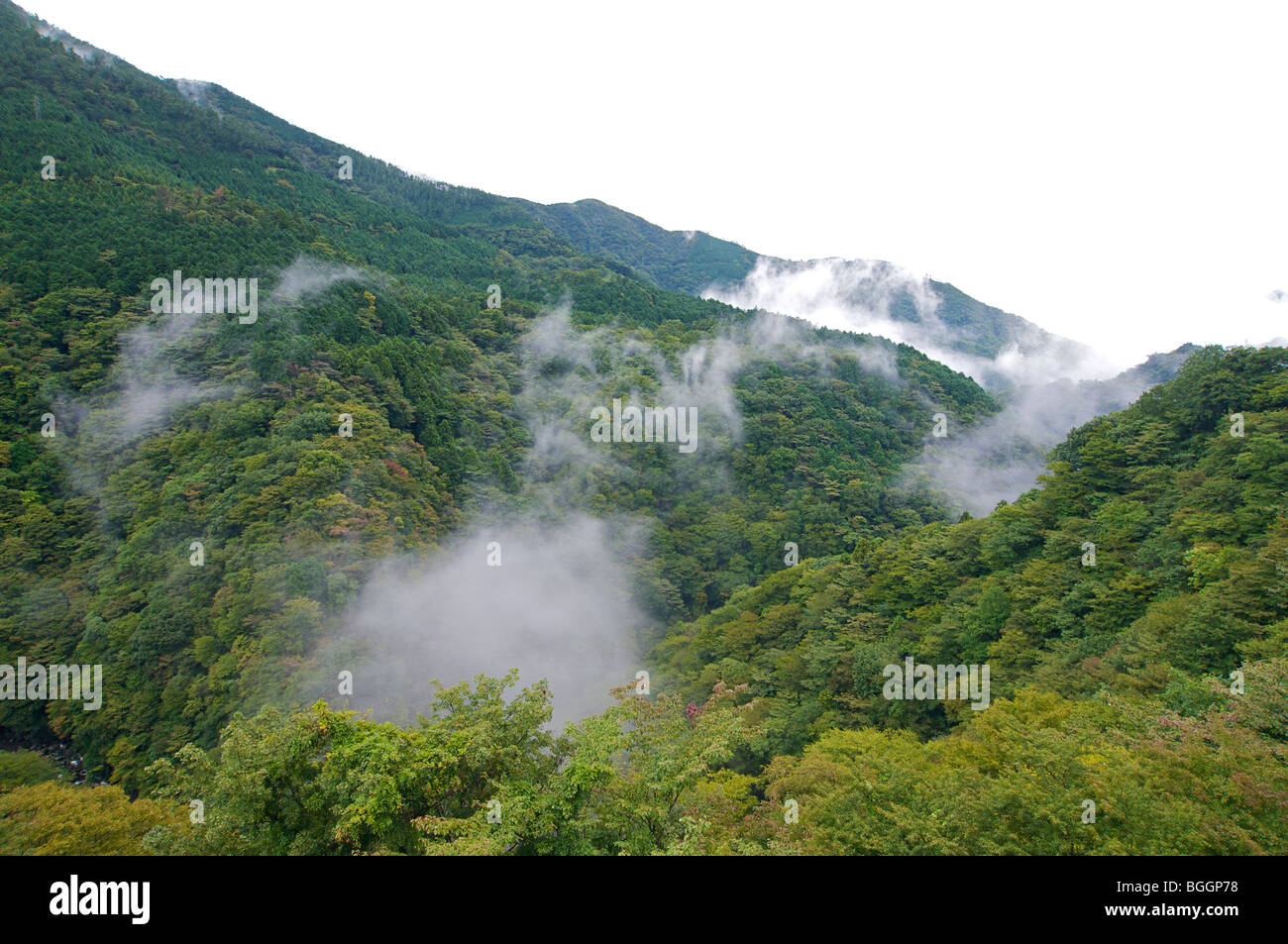 Hillside view from Hakone Ginyu ryokan. Traditional Japanese inn and spa. Hakone, Japan Stock Photo