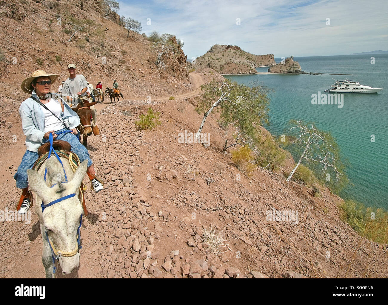 Mule ride through canyons of the Sierra de la Giganta (Mountains of the Giantess), Mexico Stock Photo