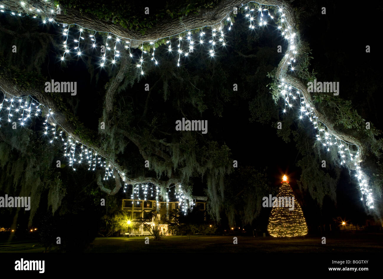 Holiday lights in the historic district Jekyll Island, Stock
