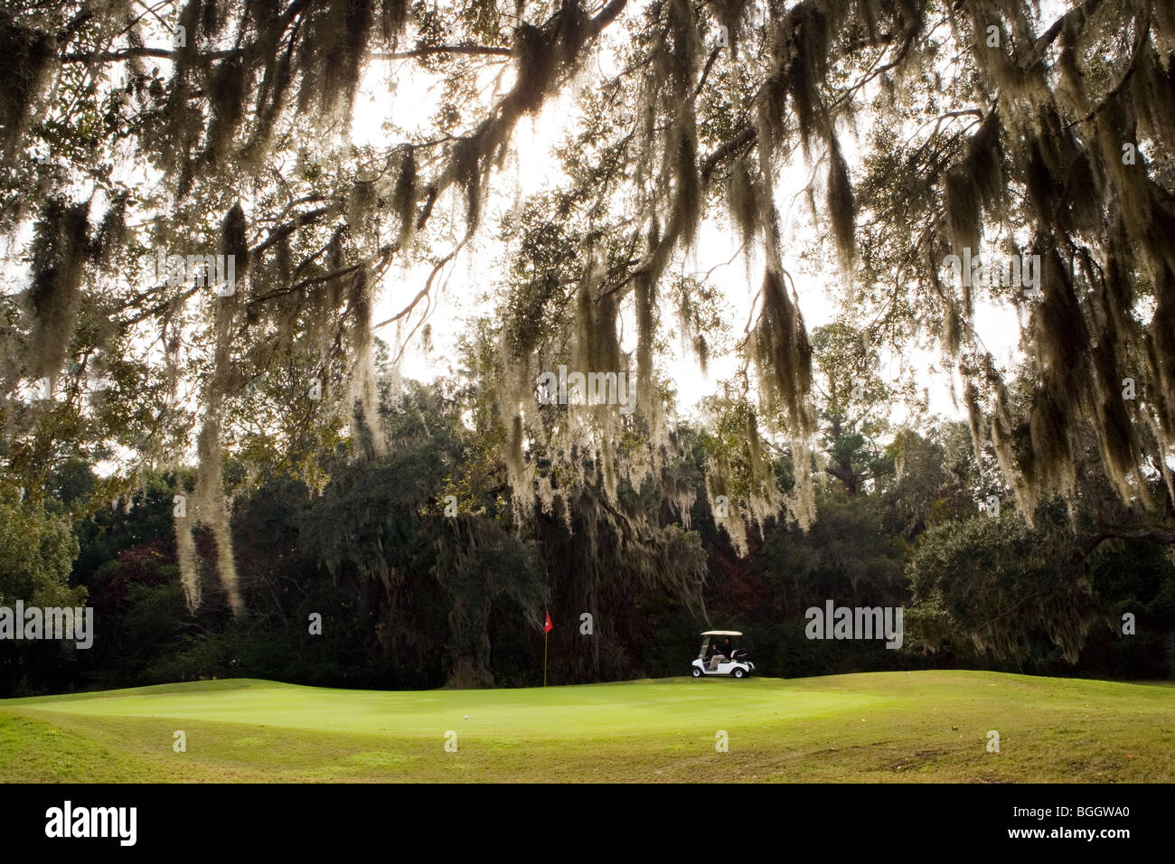 Golf course Jekyll Island, USA Stock Photo Alamy