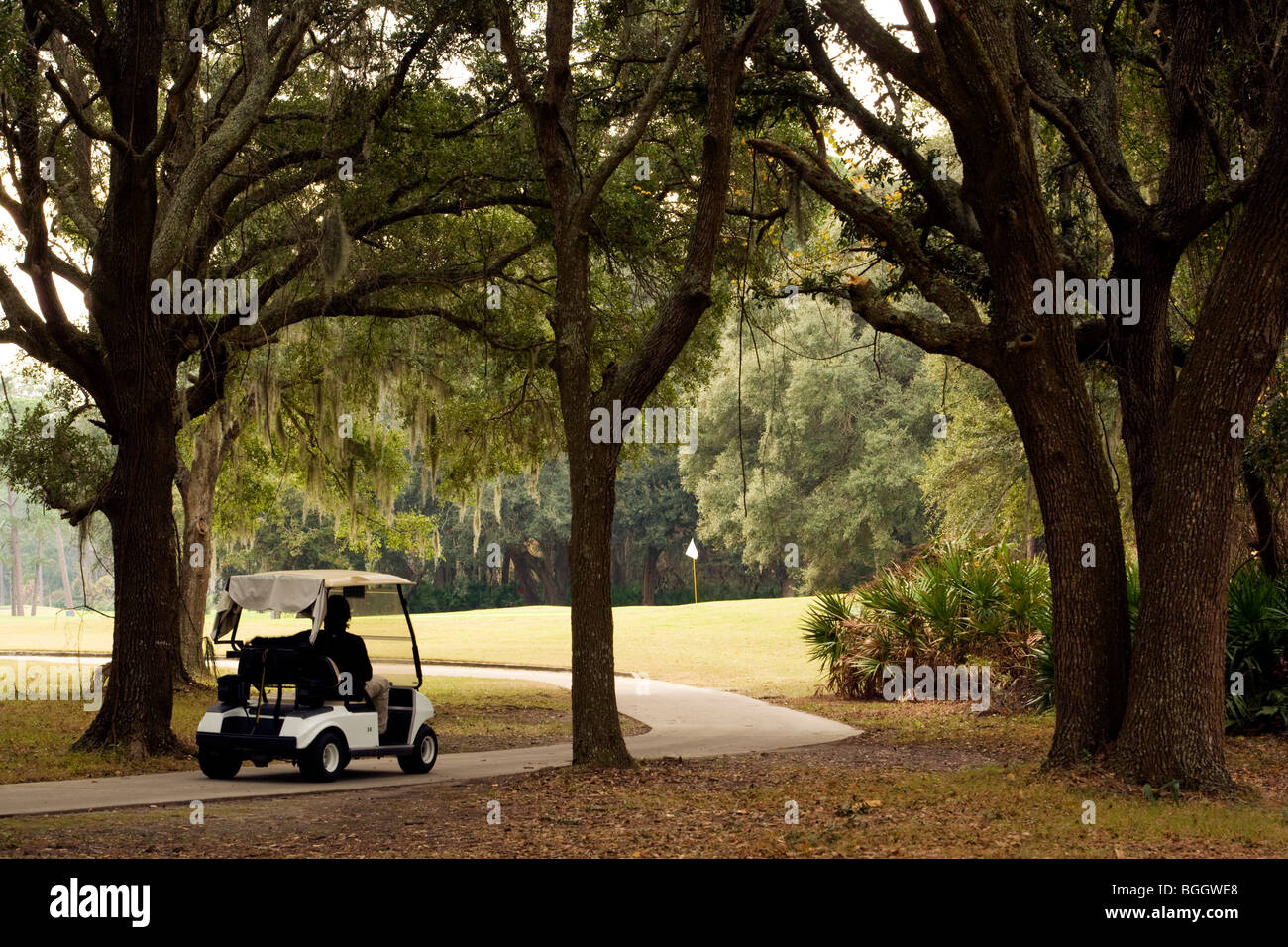 Golf course Jekyll Island, USA Stock Photo Alamy