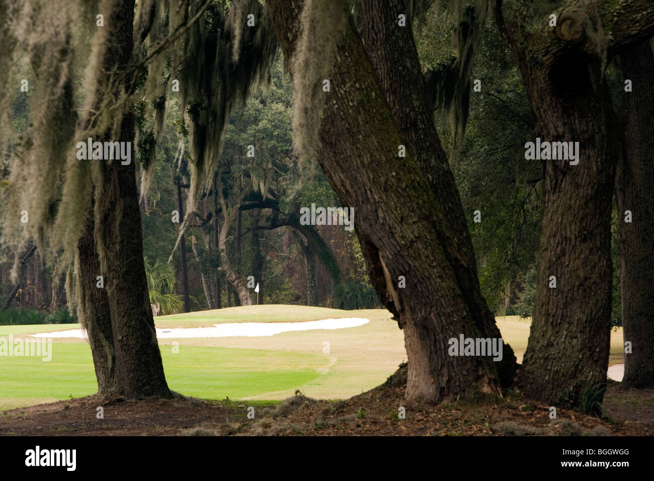 Golf course - Jekyll Island, Georgia USA Stock Photo