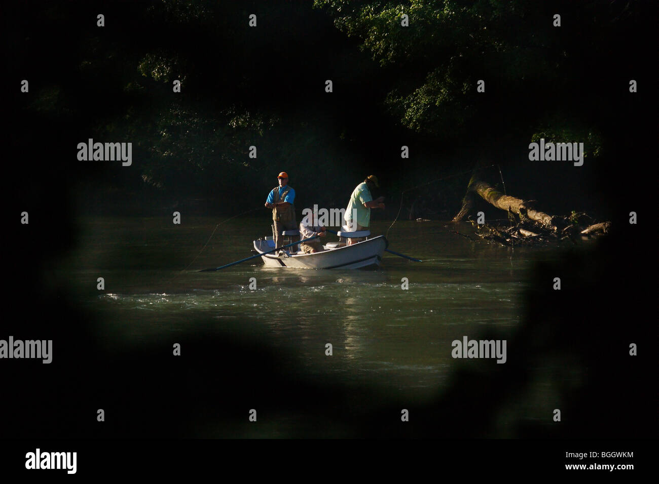THREE MEN FLY FISHING FROM A DRIFT BOAT SEEN THROUGH OPENING IN TREE