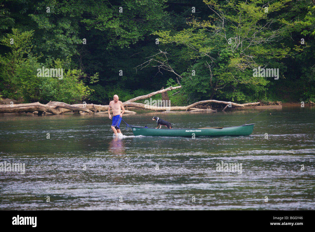 Dog rides in canoe as man pulls canoe through river Chattahoochee river ...
