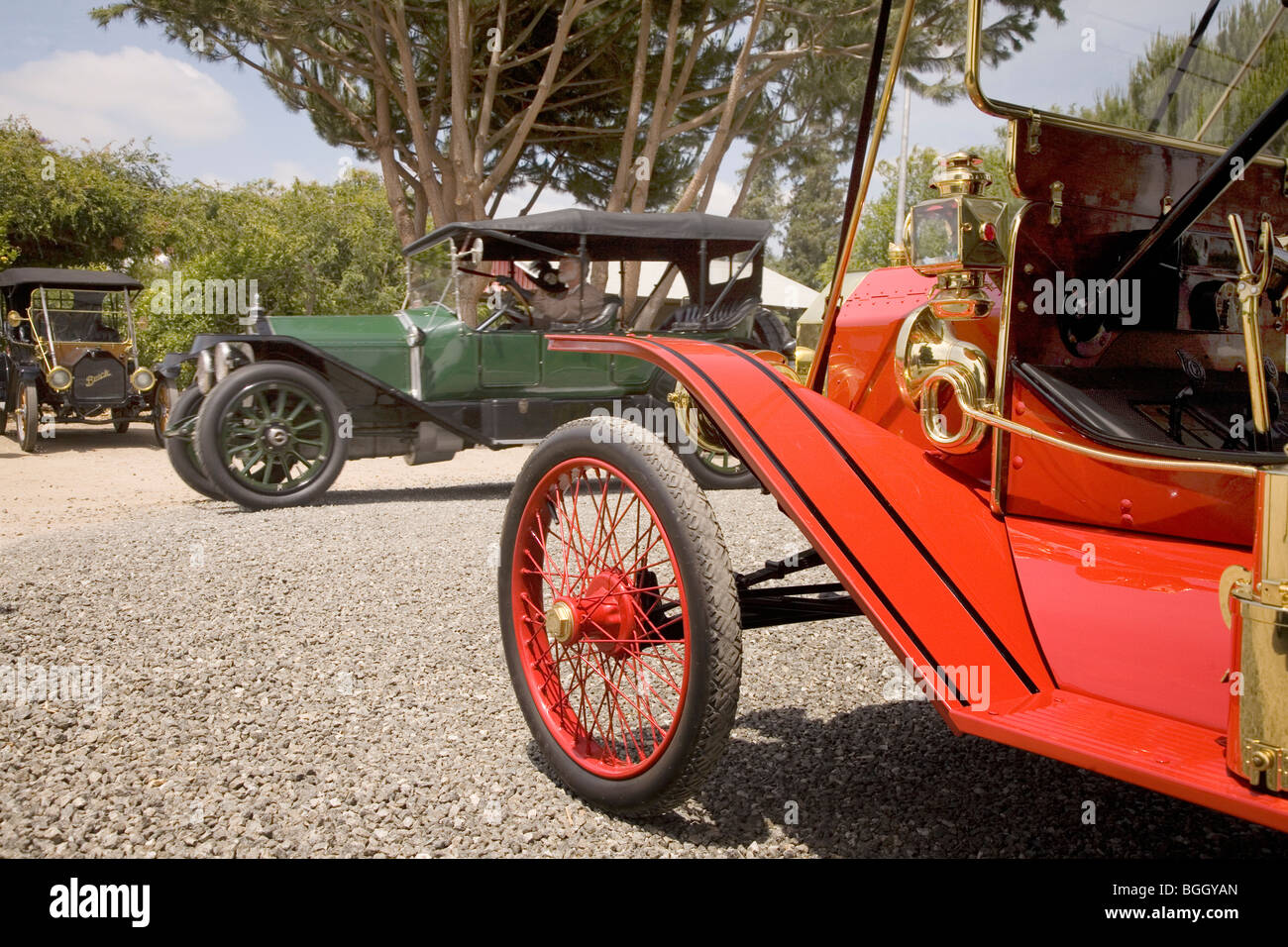 Antique cars parked in an orange grove at horseless carriage rally in