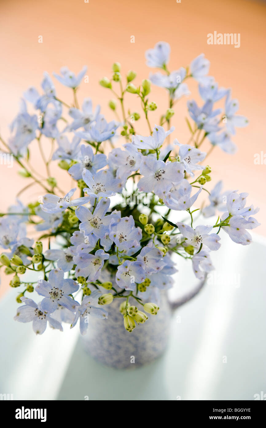 Flowers in a jug Stock Photo Alamy