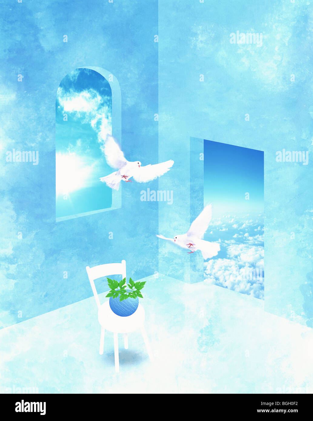 Birds flying in through windows Stock Photo Alamy