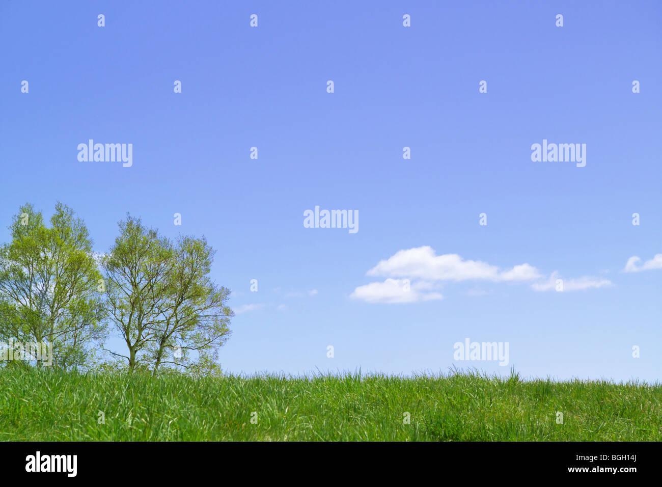 Two tree hill hi-res stock photography and images - Alamy