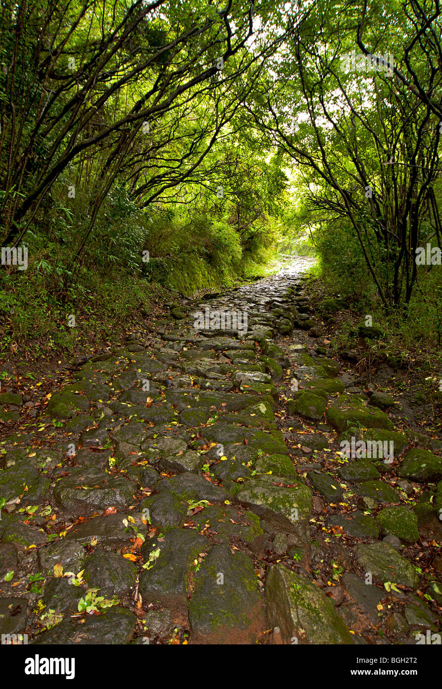 Hakone Old Tokaido Highway Hakone Kanagawa Japan Stock Photo