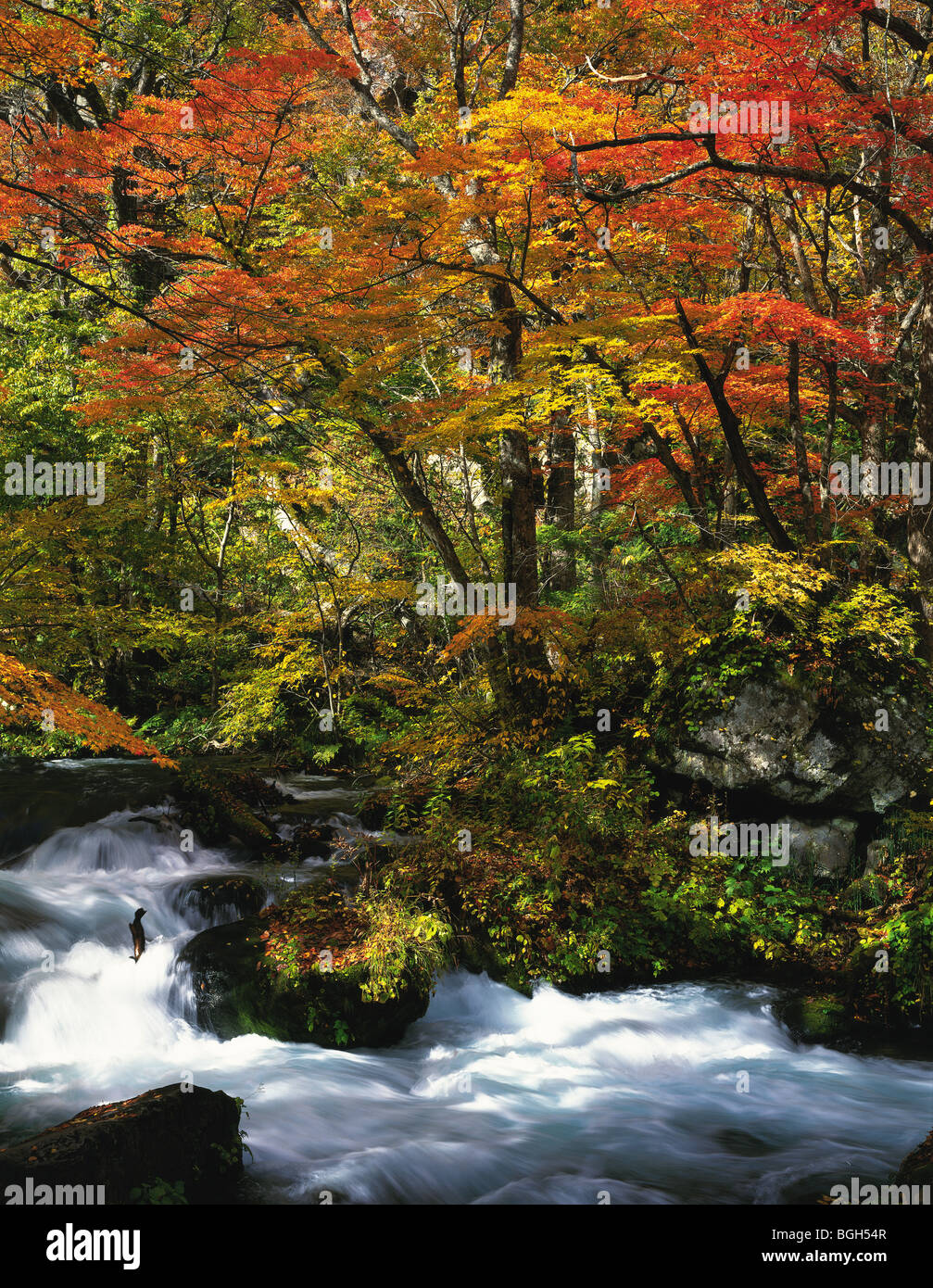 Autumn river hi-res stock photography and images - Alamy
