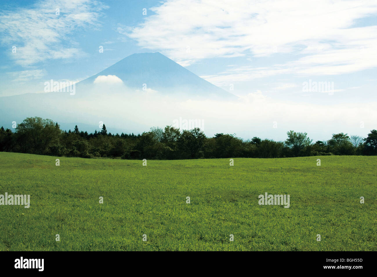 Grasslands and Mt. Fuji, Fujinomiya, Shizuoka Prefecture, Japan Stock Photo
