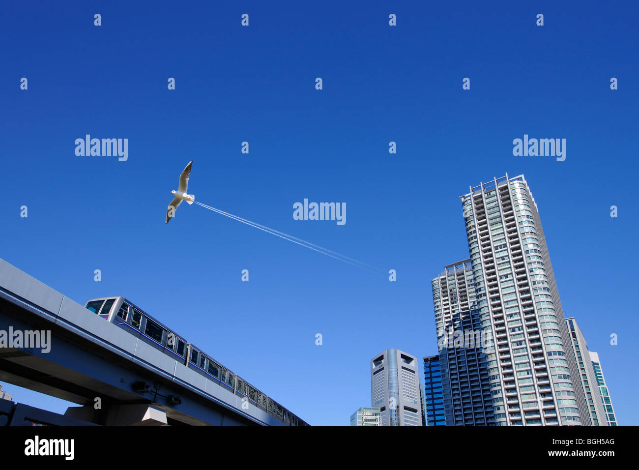 Seagull flying over Yurikamome and a super-high-rise tower apartment, Minato-ku, Tokyo, Japan Stock Photo