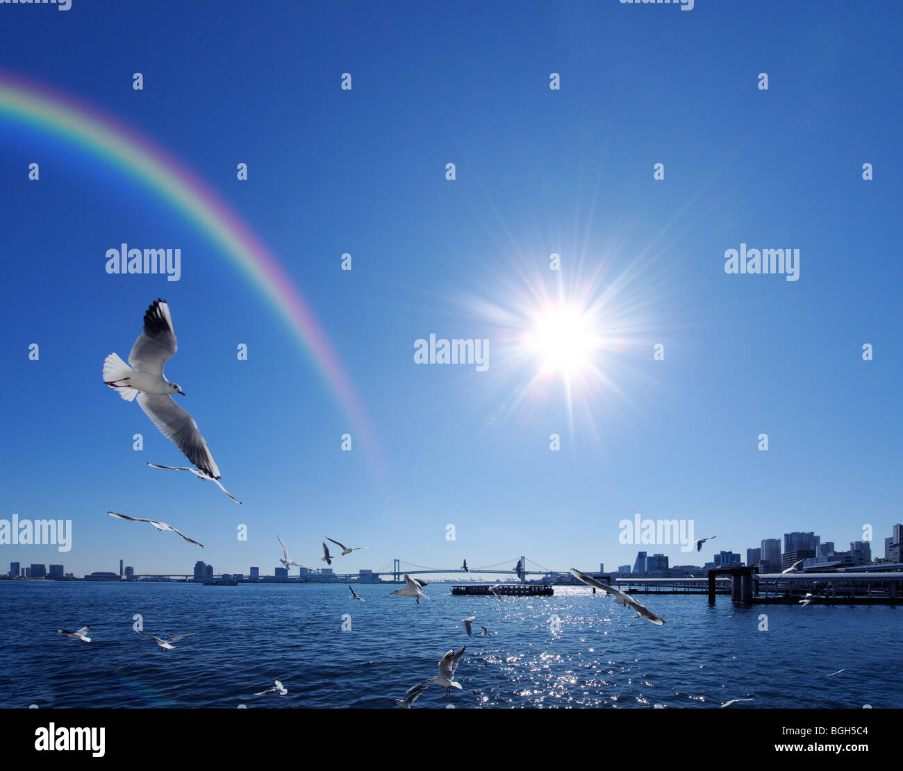 Seagulls flying around harbour and a rainbow, Chuo-ku, Tokyo, Japan Stock Photo