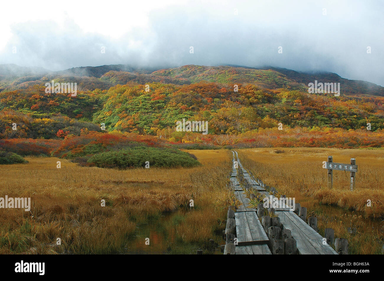 Marshland Akita Prefecture Japan Stock Photo
