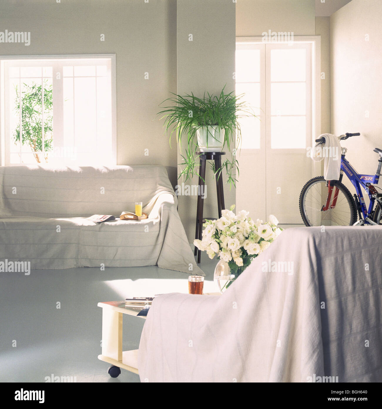 Living room with sofas and bicycle Stock Photo